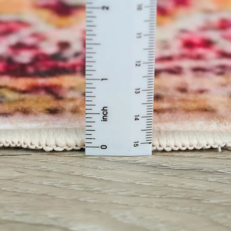 Machine Washable Indoor Rug - 5 x 7