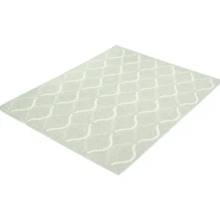Outdoor 7 x 10 ft Rug