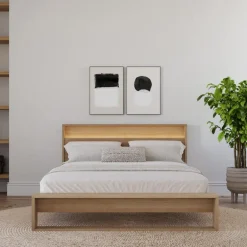 Queen Bed and Headboard with Lighting (60