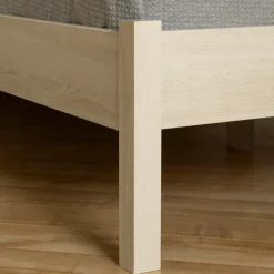 Queen Bed with 2-Drawer Storage and Headboard (60