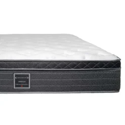 Queen Medium-Firm Mattress with Springs - 60