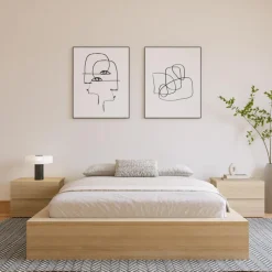 Queen Platform Bed (60