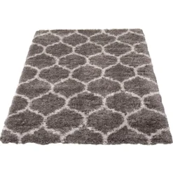 Shag Indoor Rug - 5 x 7