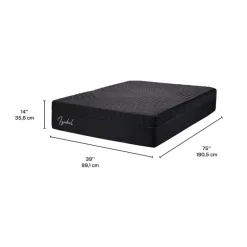 Twin Medium-Firm Memory Foam Mattress-in-a-Box - 39